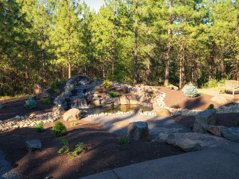 Finished pond with plantings, boulders and a bench under the pines