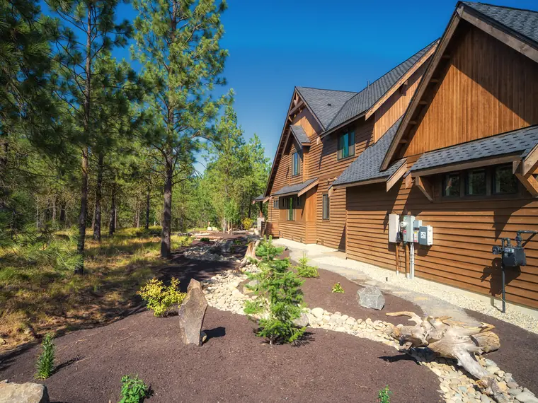 Planted bed with young pine, boulders and driftwood beside a home