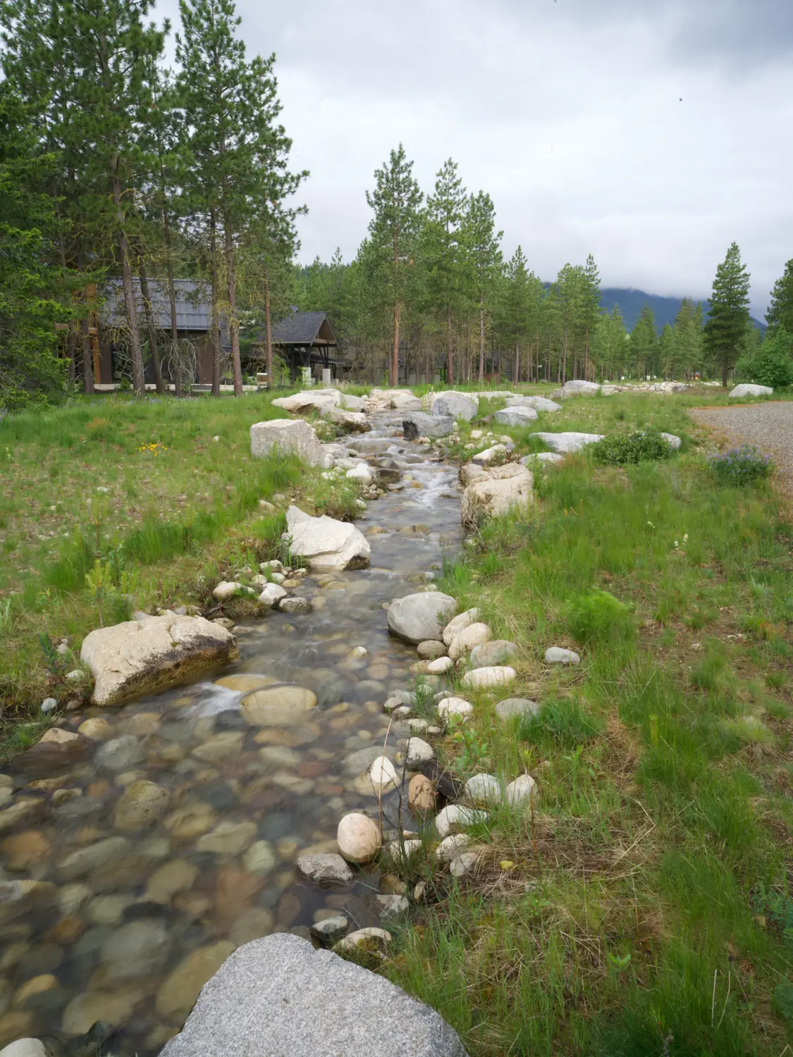 Natural-looking rock creek bed winding through a green lawn